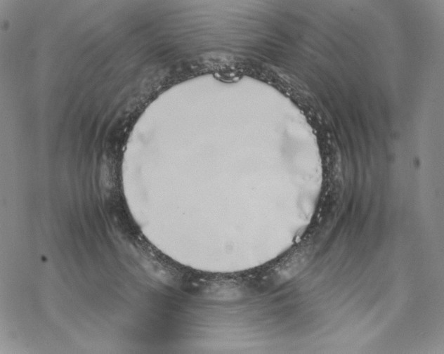 X0000069390606200606091718