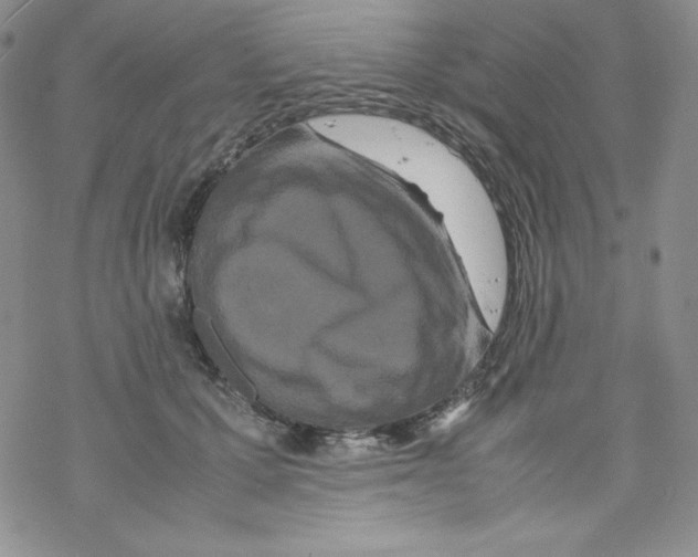 X0000069390607200606091718