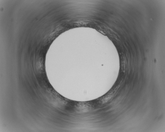 X0000069390608200606091718