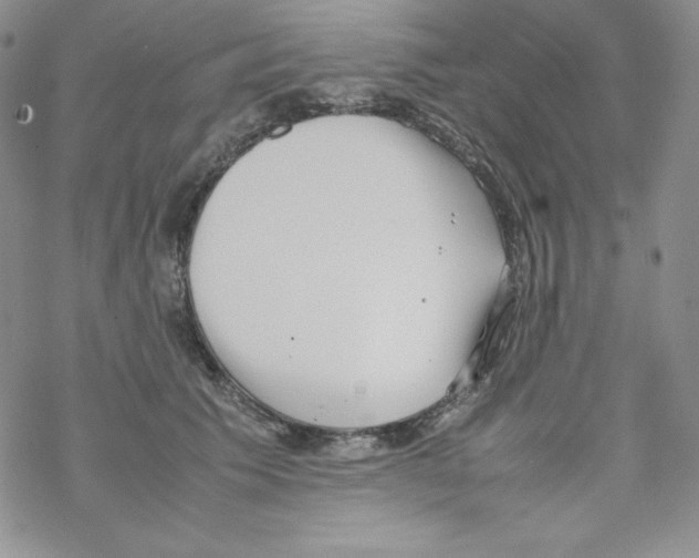 X0000069390609200606091718