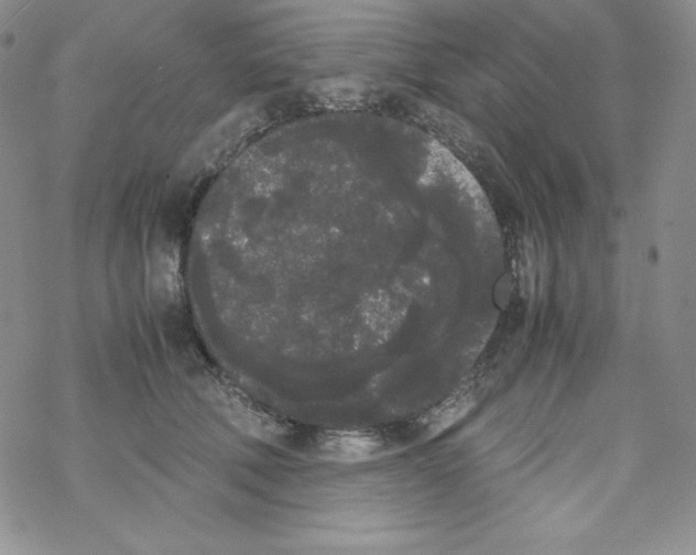 X0000069390610200606091718