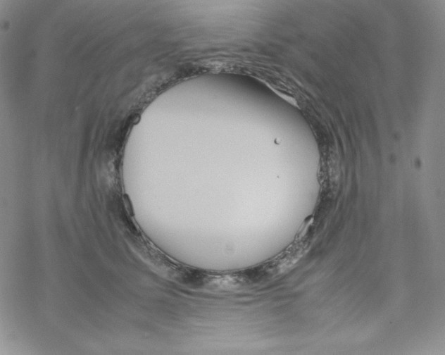 X0000069390611200606091718