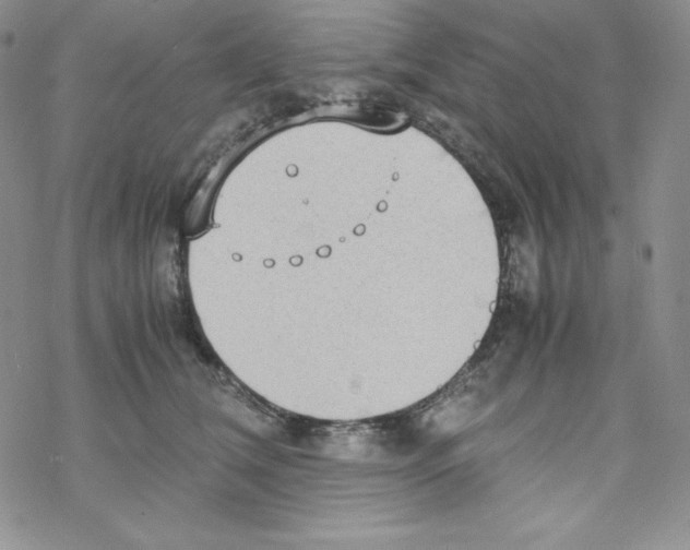 X0000069390612200606091718