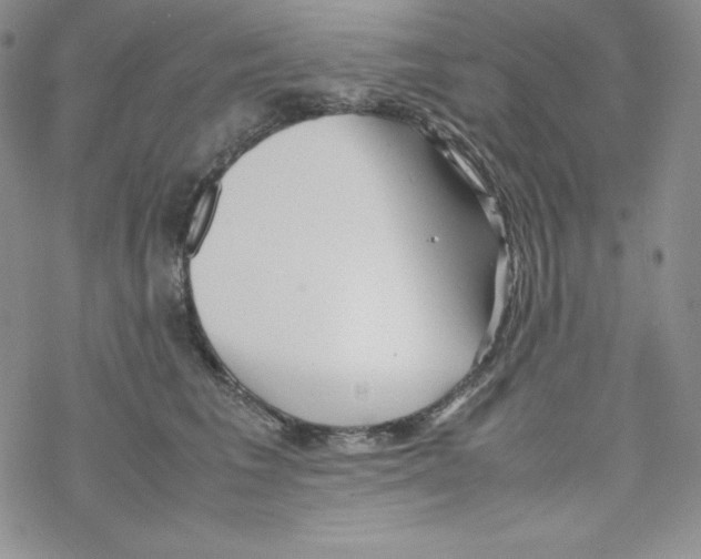 X0000069390613200606091718