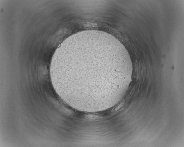 X0000069390614200606091718