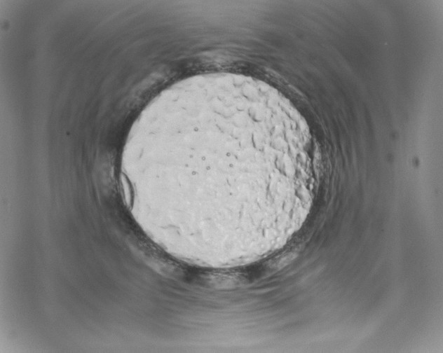 X0000069390615200606091718