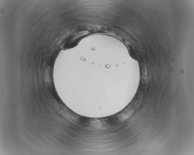 X0000069390616200606091718