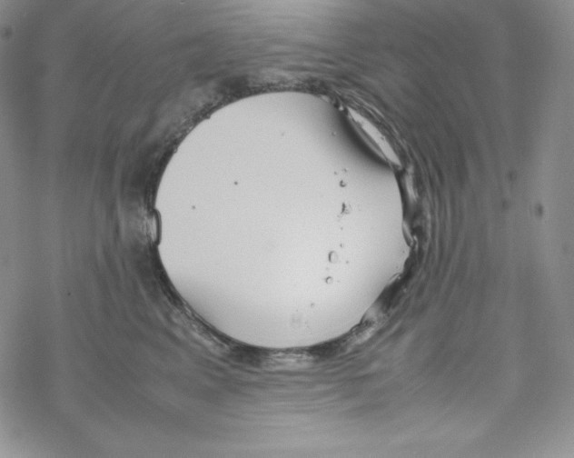 X0000069390617200606091718