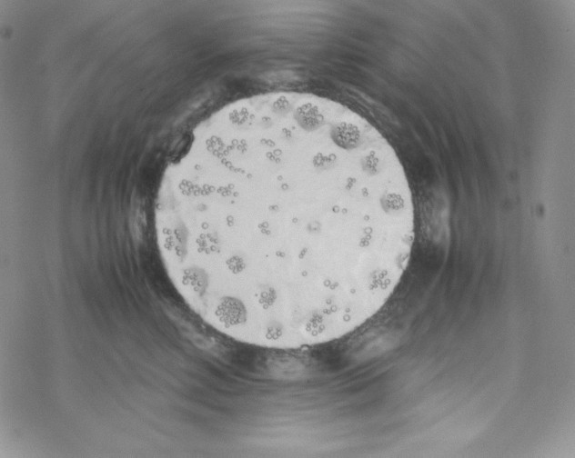 X0000069390618200606091718