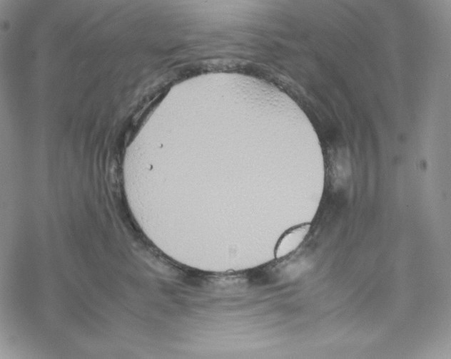 X0000069390619200606091718