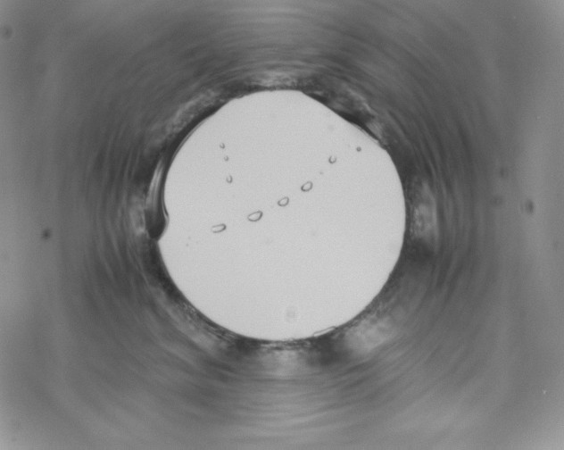 X0000069390620200606091718