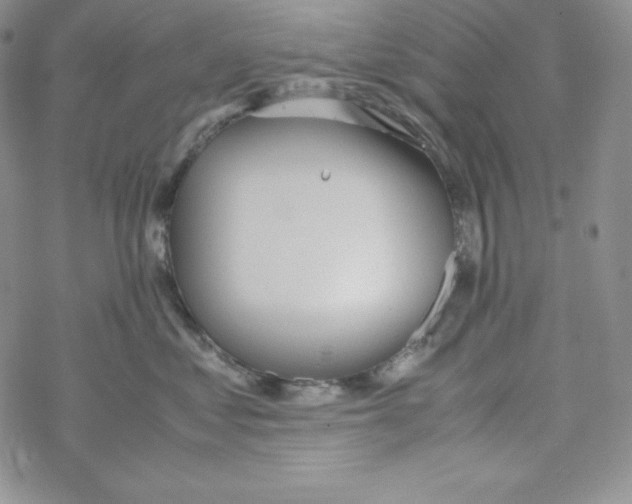 X0000069390621200606091718