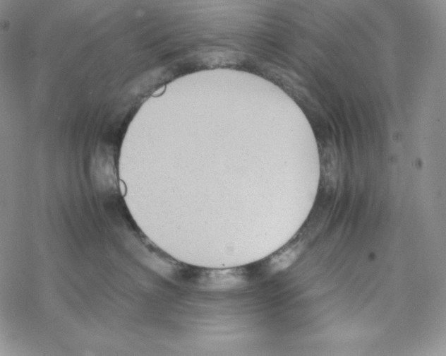 X0000069390622200606091718