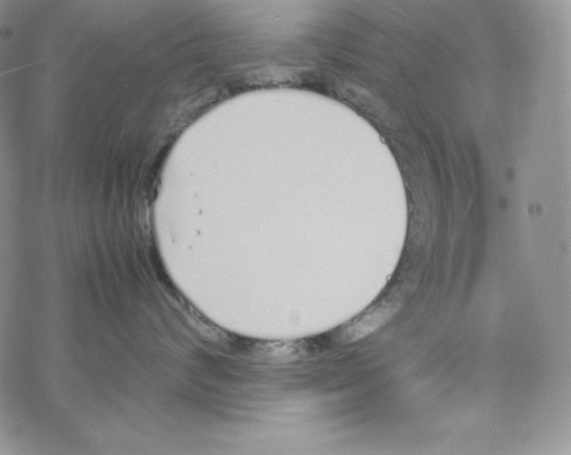 X0000069390624200606091718