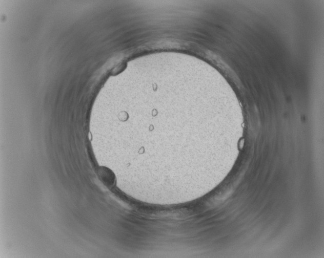 X0000069390625200606091717