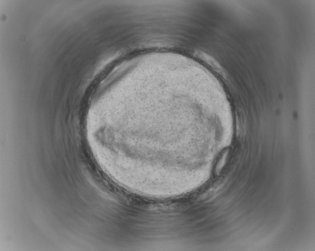 X0000069390627200606091717