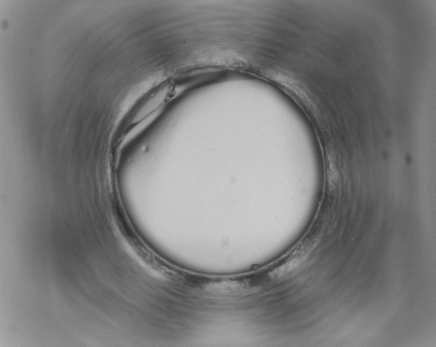 X0000069390630200606091717