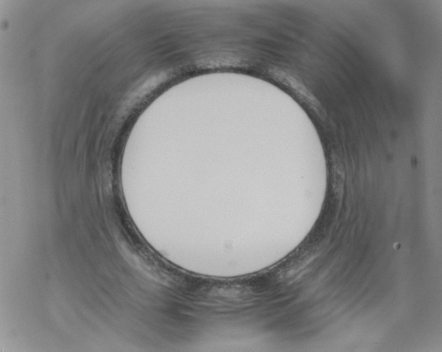 X0000069390631200606091717