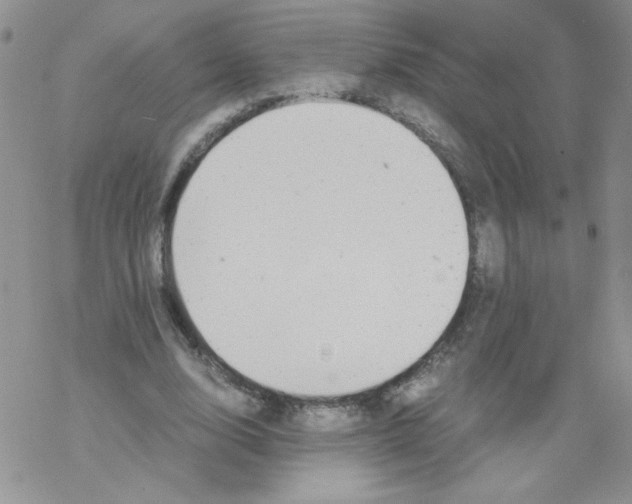 X0000069390632200606091717