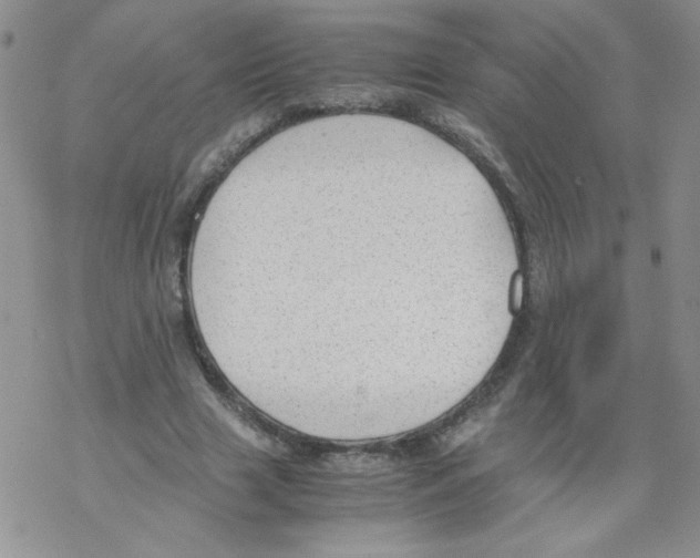 X0000069390633200606091717