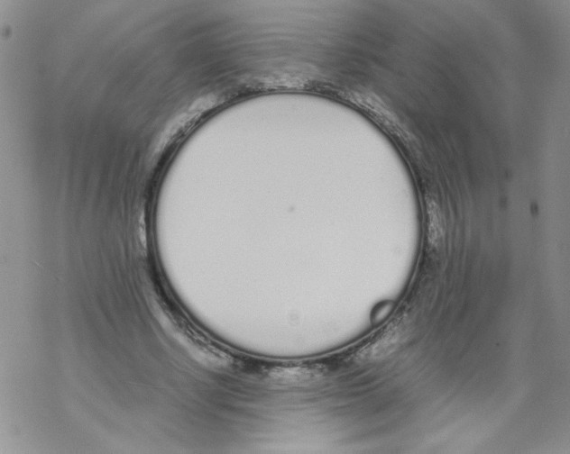 X0000069390634200606091717