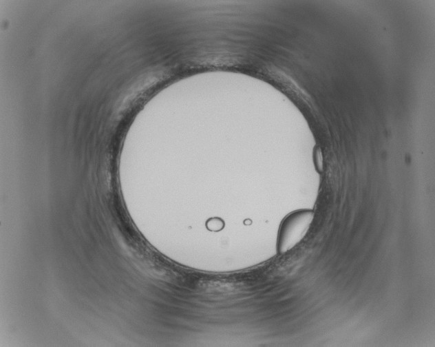 X0000069390635200606091717