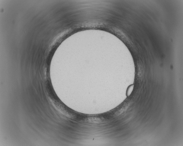 X0000069390636200606091717