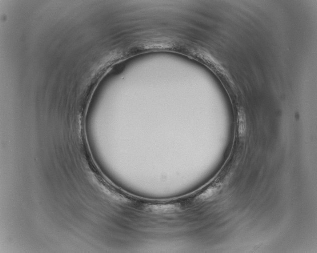 X0000069390637200606091717