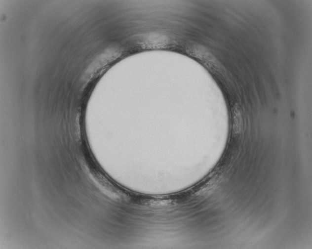 X0000069390638200606091717