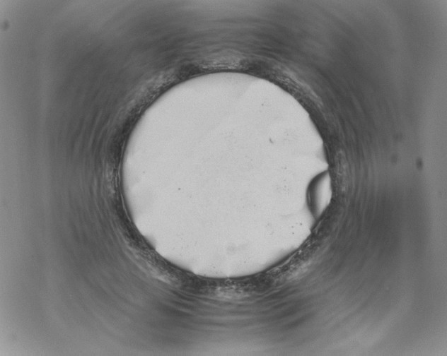 X0000069390641200606091717