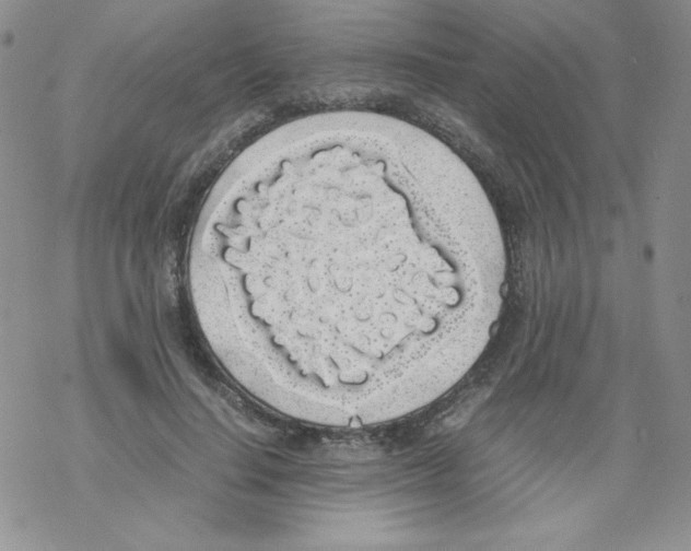 X0000069390644200606091717