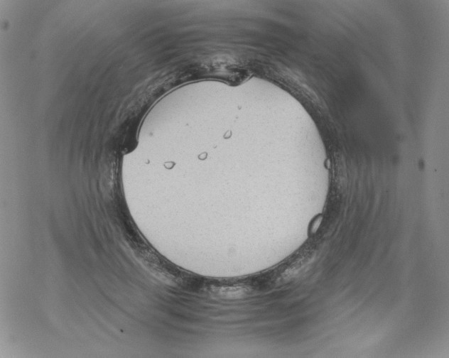 X0000069390645200606091717