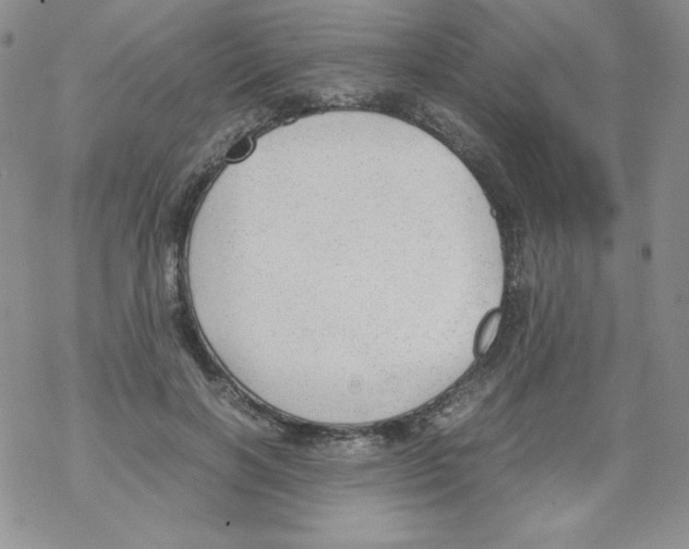 X0000069390646200606091717