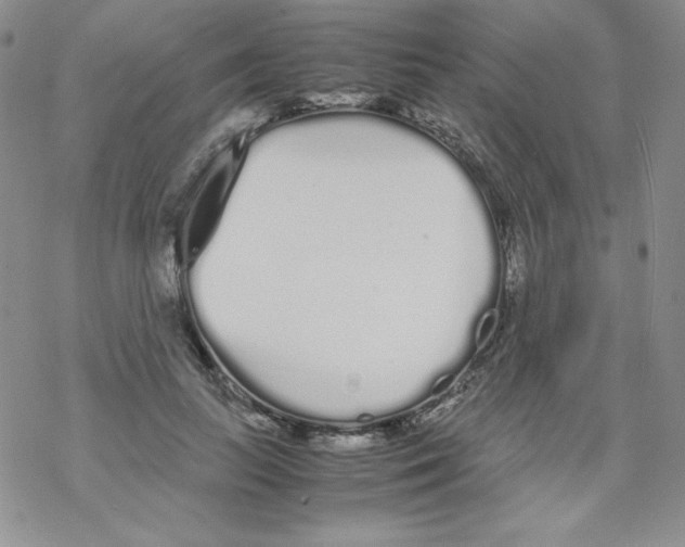 X0000069390647200606091718