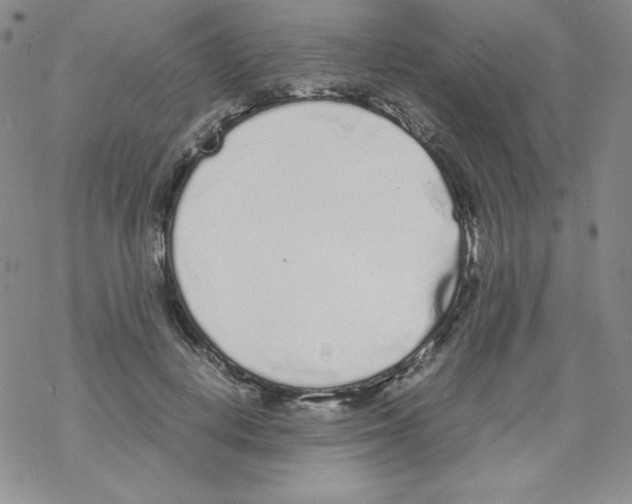 X0000069390648200606091718