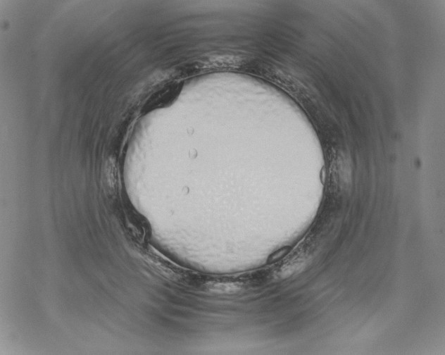 X0000069390649200606091718