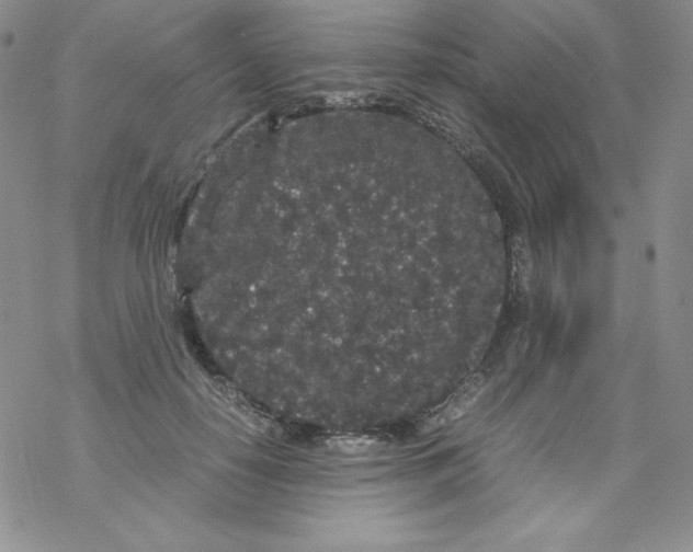 X0000069390650200606091718