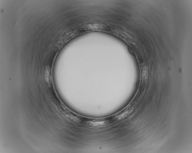 X0000069390651200606091718