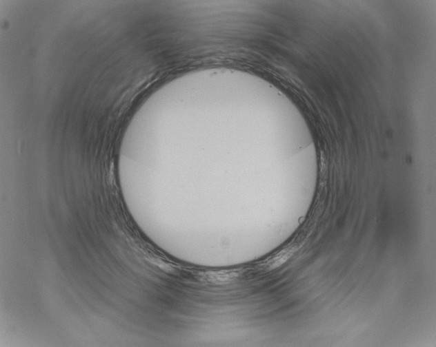 X0000069390652200606091718