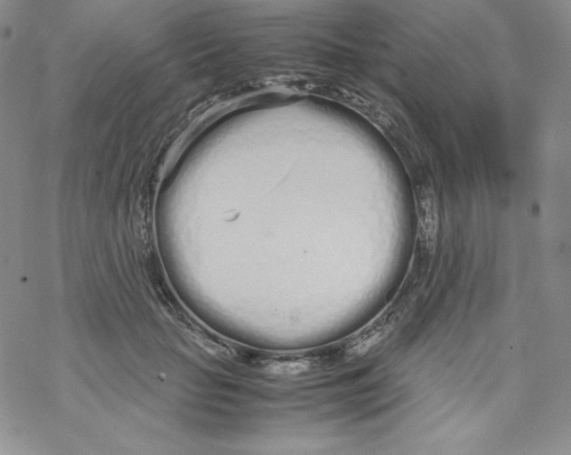 X0000069390653200606091718