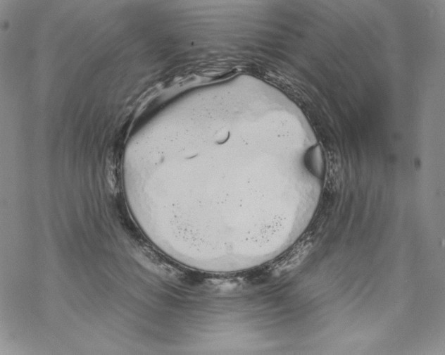 X0000069390654200606091718