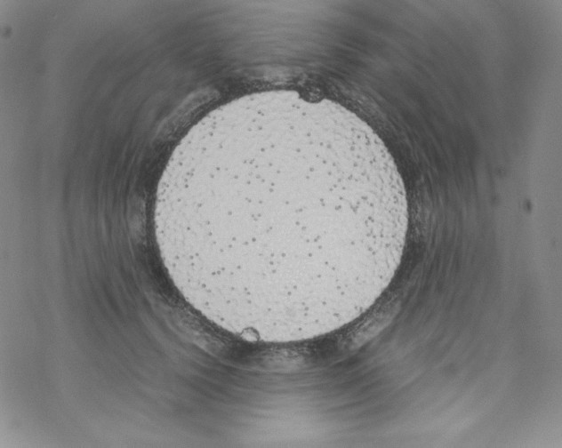 X0000069390656200606091718