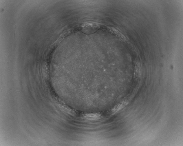 X0000069390659200606091718