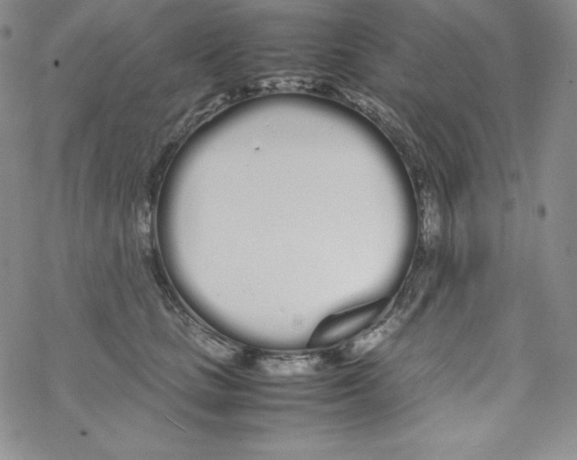 X0000069390661200606091718