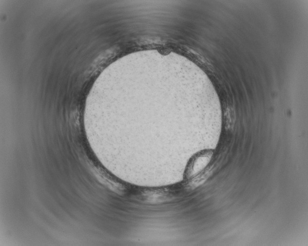 X0000069390662200606091718