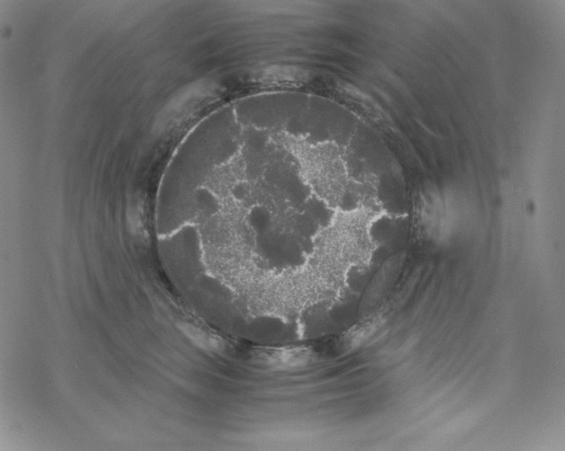 X0000069390663200606091718