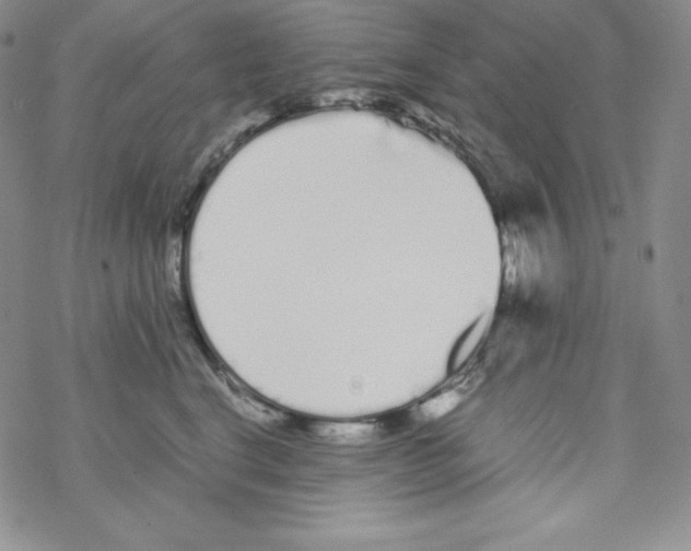 X0000069390664200606091718