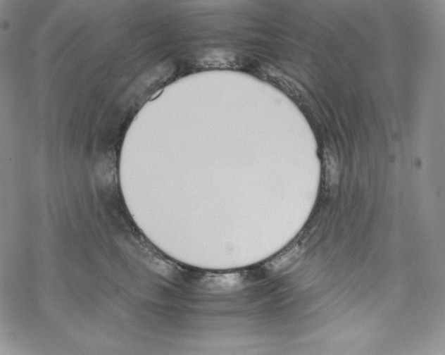 X0000069390665200606091718