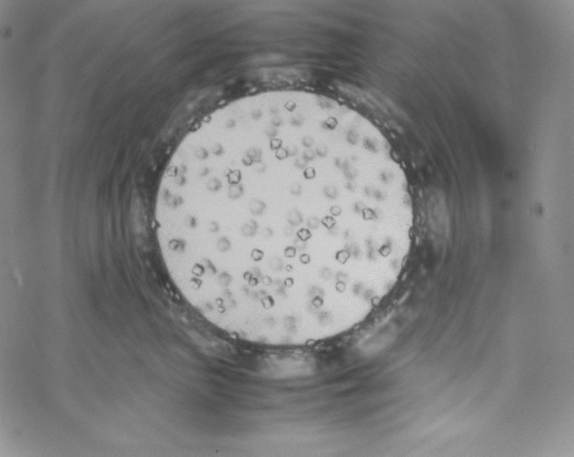 X0000069390667200606091718