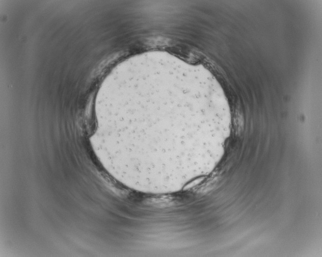 X0000069390668200606091718